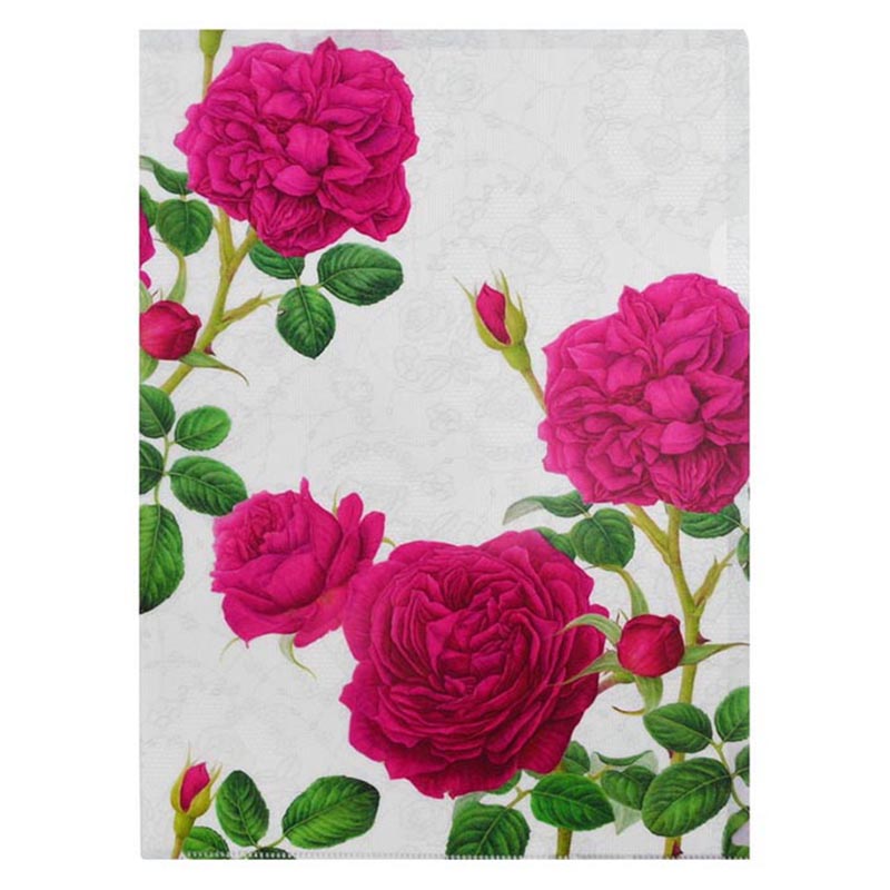 フロンティア クリアフォルダー サンテグジュペリ/CF-011